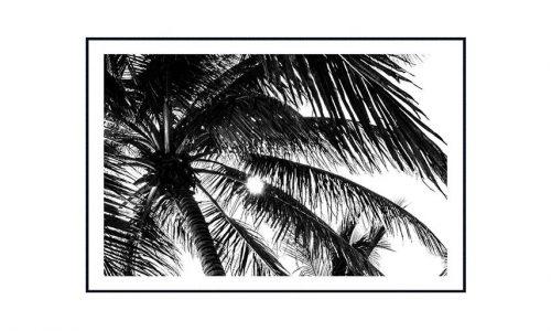 Tableau PALMIERS