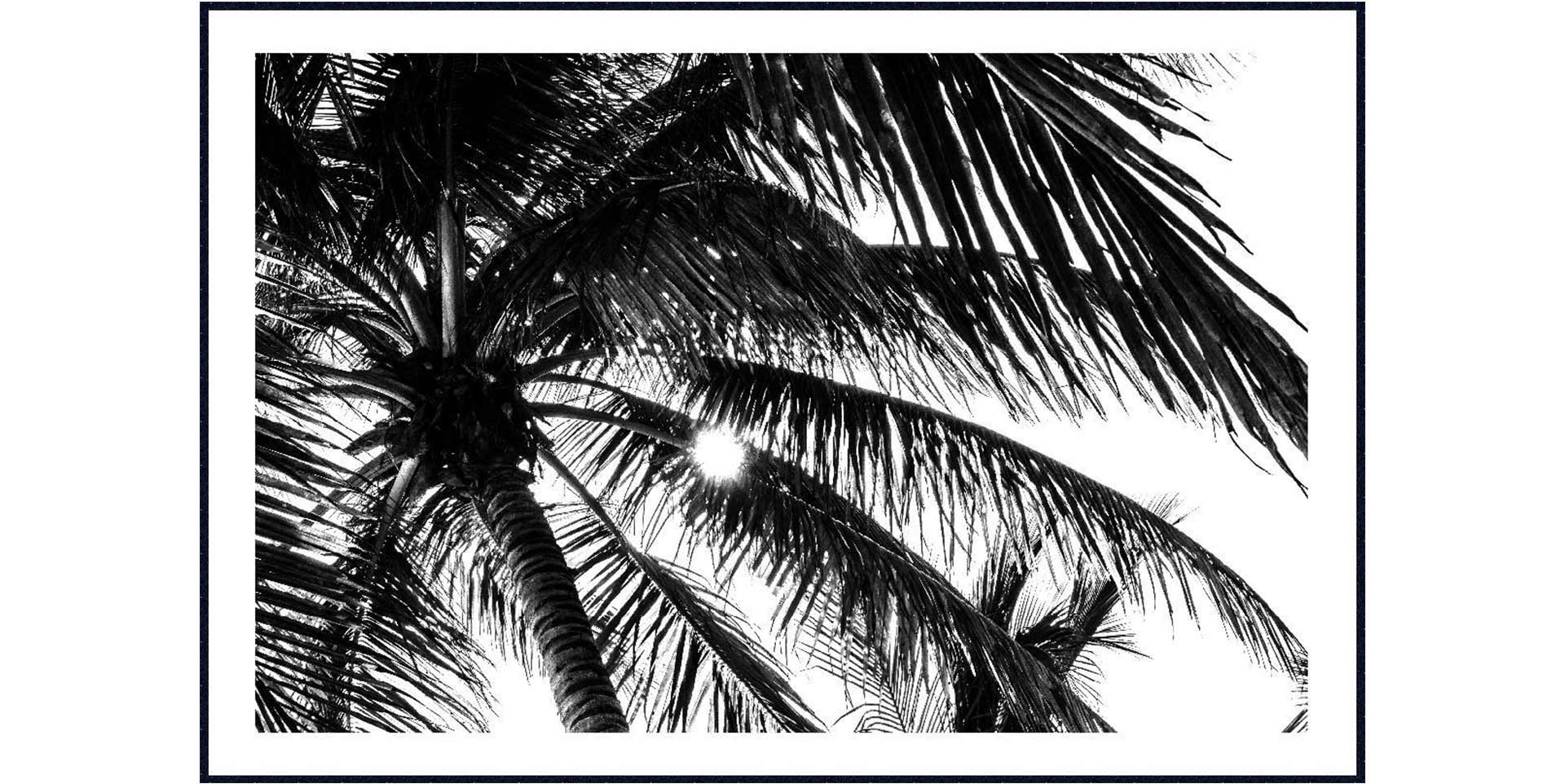 Tableau PALMIERS slider image n°2