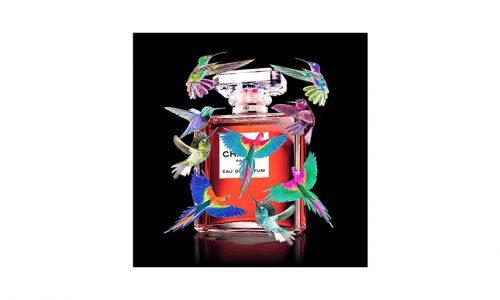 Tableau FLACON COLIBRI