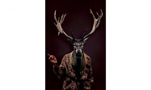 Tableau MYSTIC DEER 1