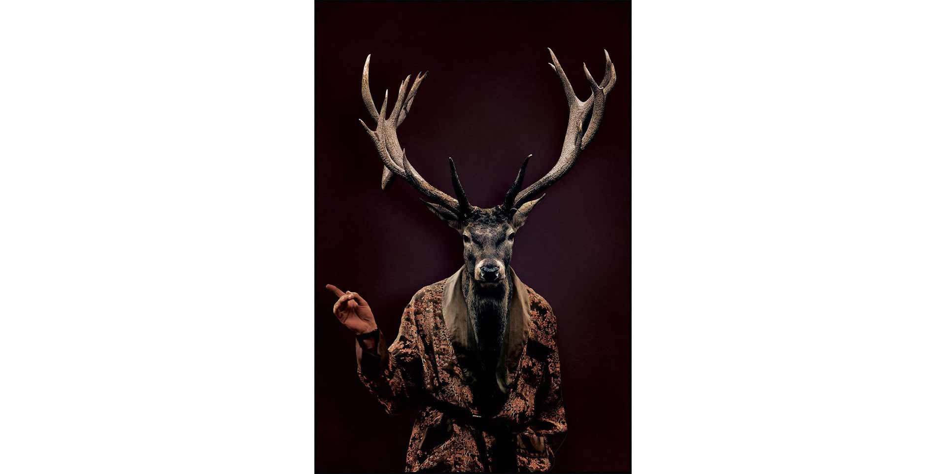 Tableau MYSTIC DEER slider image n°1