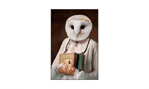 Tableau MYSTIC OWL