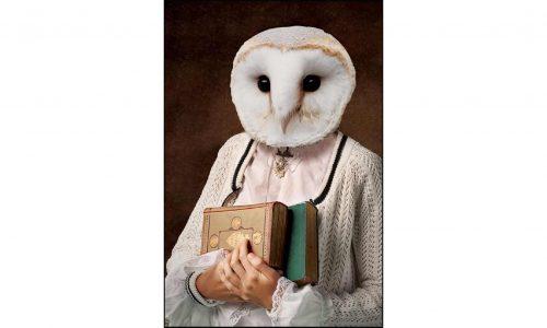 Tableau MYSTIC OWL 1