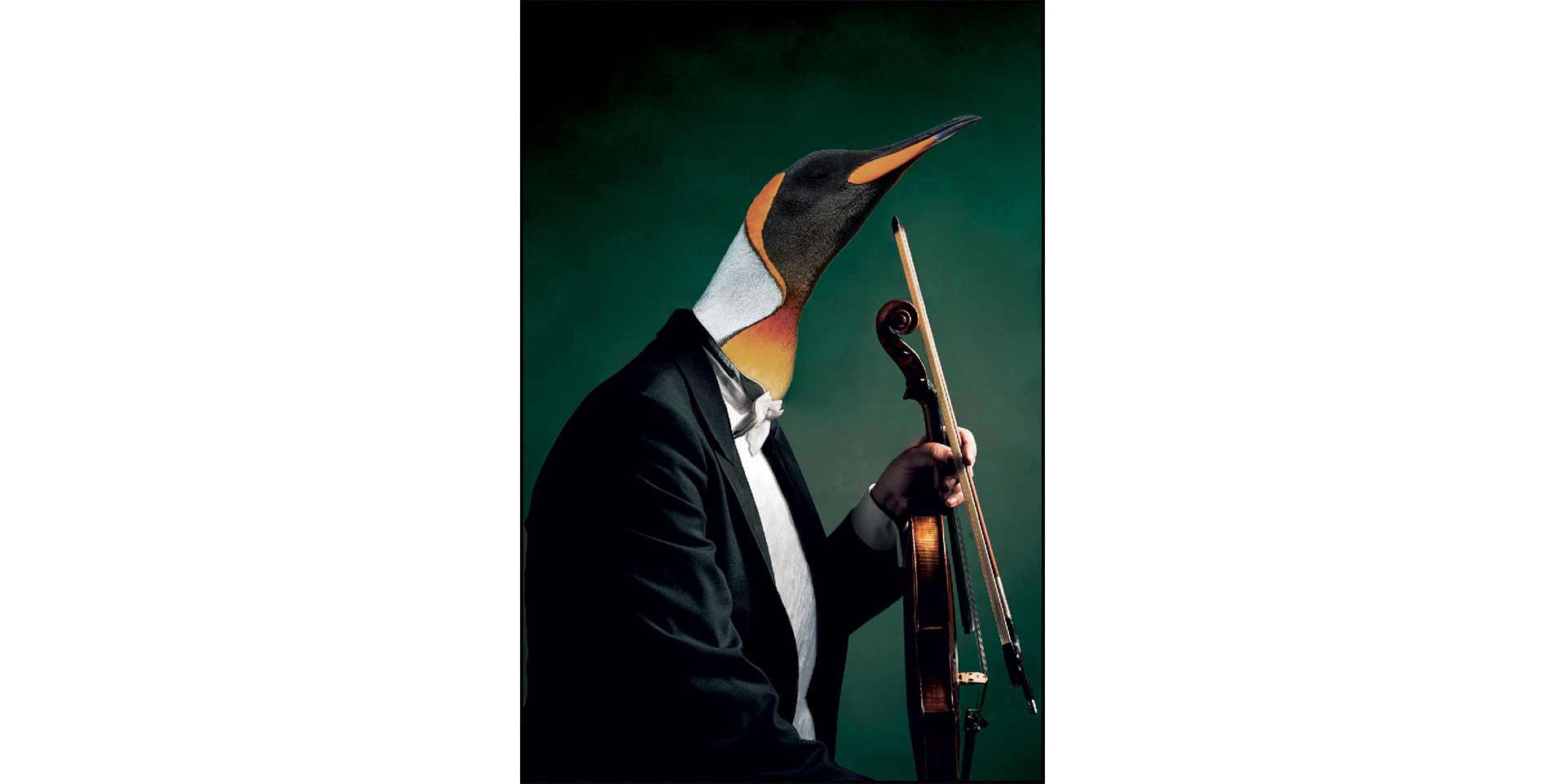 Tableau MYSTIC PINGOUIN slider image n°2